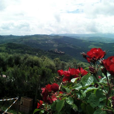 Poggio Al Vento Casa de hóspedes Castiglione dʼOrcia Exterior foto