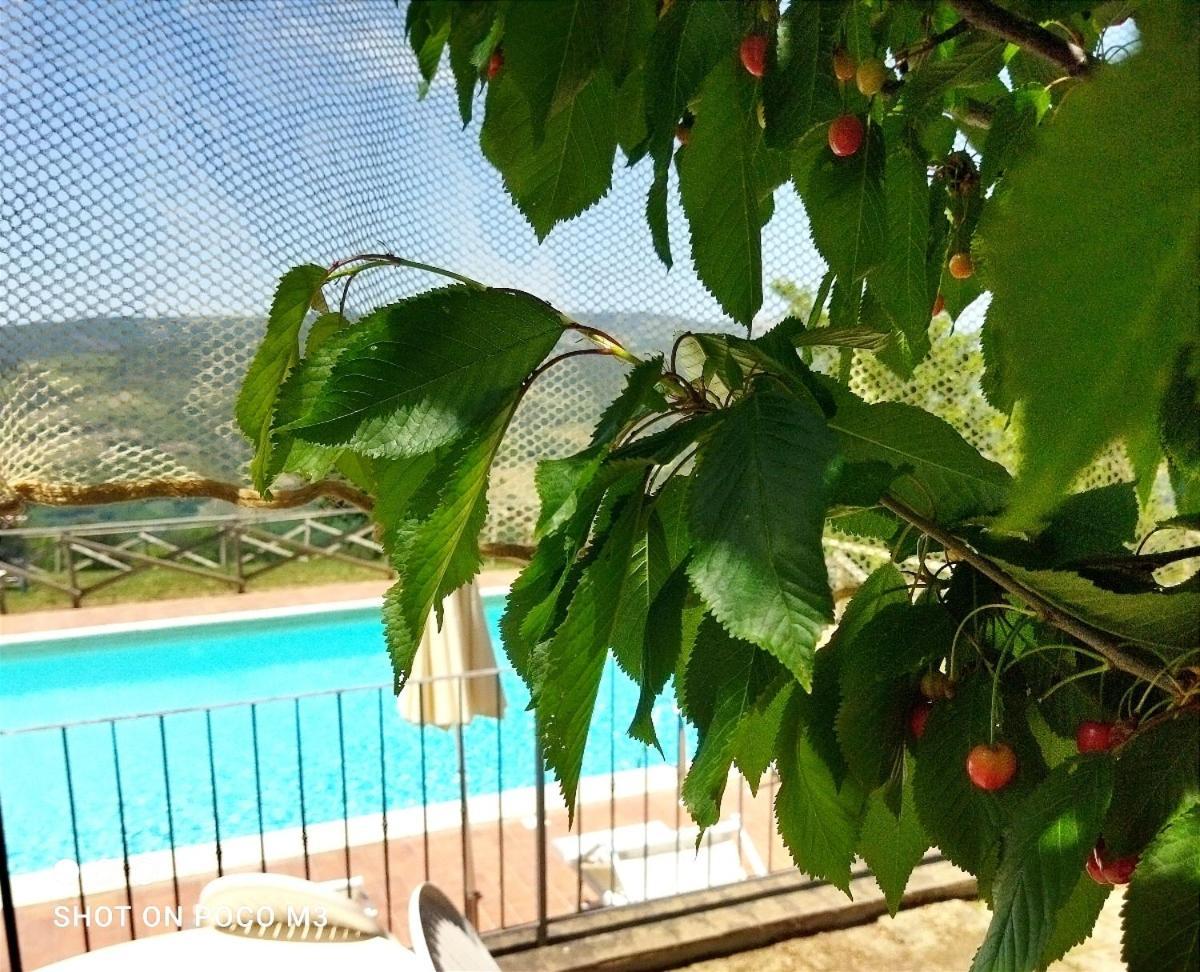 Poggio Al Vento Casa de hóspedes Castiglione dʼOrcia Exterior foto