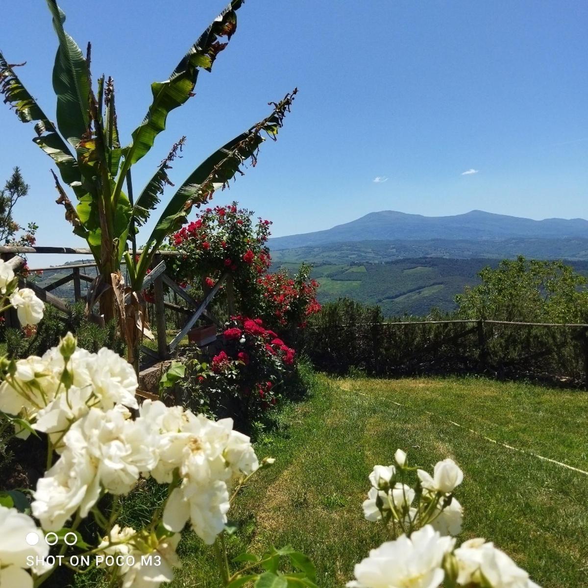 Poggio Al Vento Casa de hóspedes Castiglione dʼOrcia Exterior foto