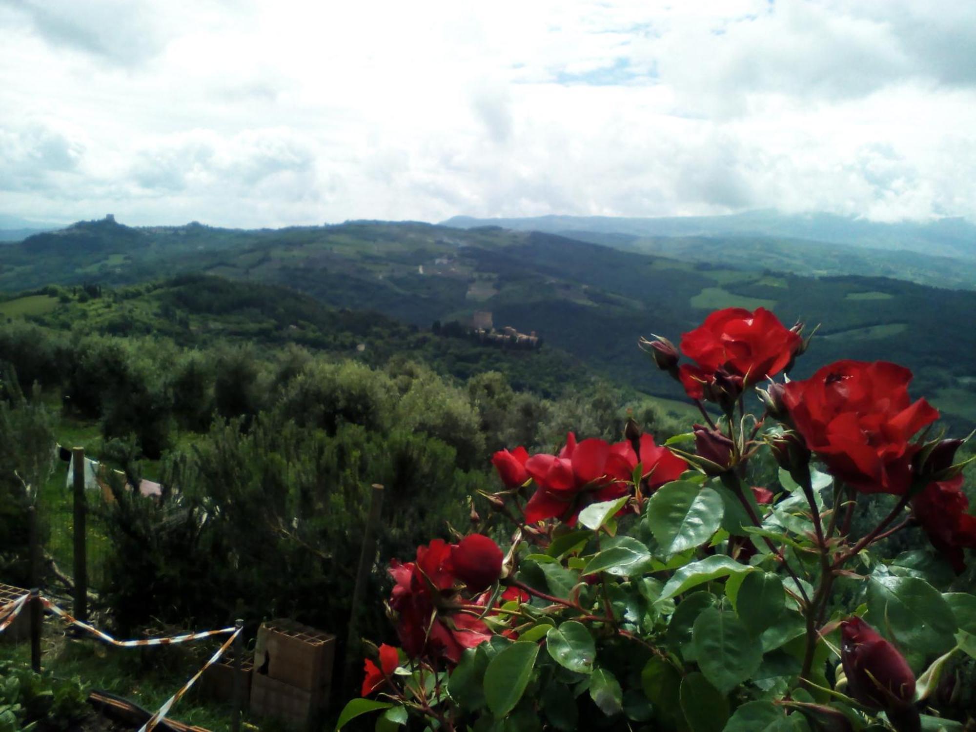Poggio Al Vento Casa de hóspedes Castiglione dʼOrcia Exterior foto
