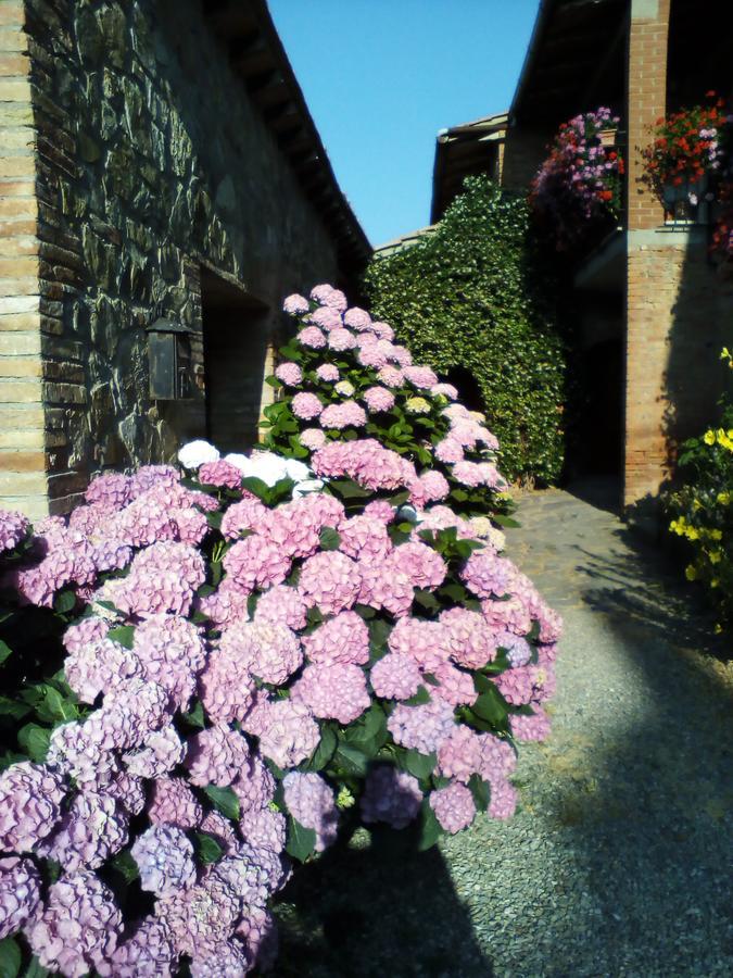 Poggio Al Vento Casa de hóspedes Castiglione dʼOrcia Exterior foto